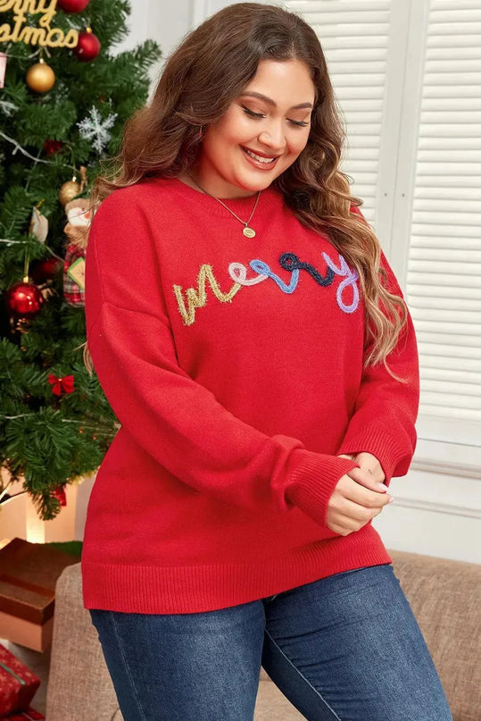 Plus Size MERRY Round Neck Long Sleeve Sweater - ShopEasier