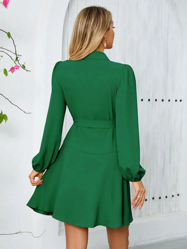 Surplice Tie Waist Long Sleeve Mini Dress