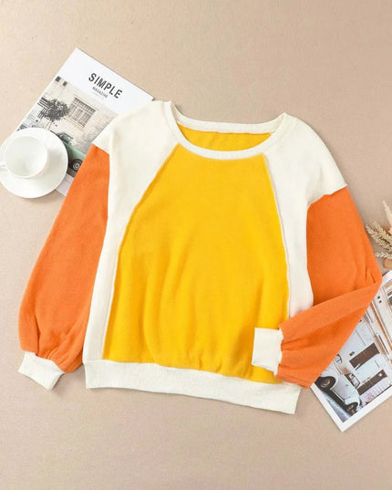 Color Block Casual Round Neck Sweatshirt with Dropped Shoulders