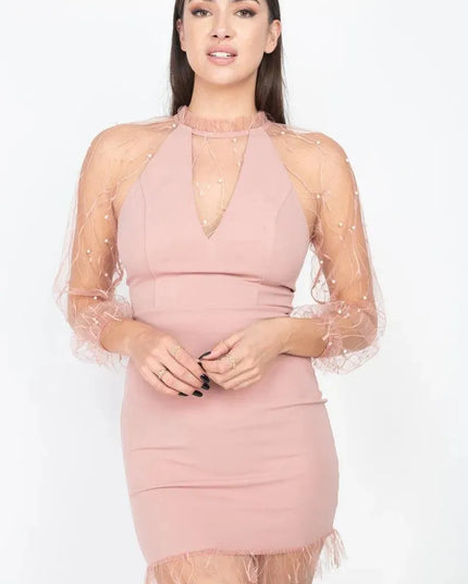 Pearl Trim Mesh Bodycon Dress - ShopEasier