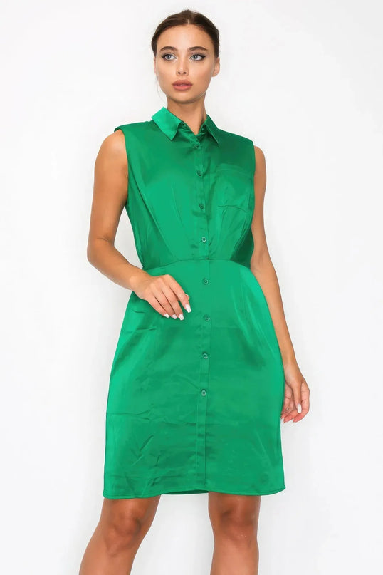 Button-down Pleated Shirt Dress - ShopEasier