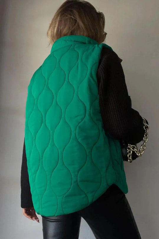 Pocketed Collared Vest with Opaque Design